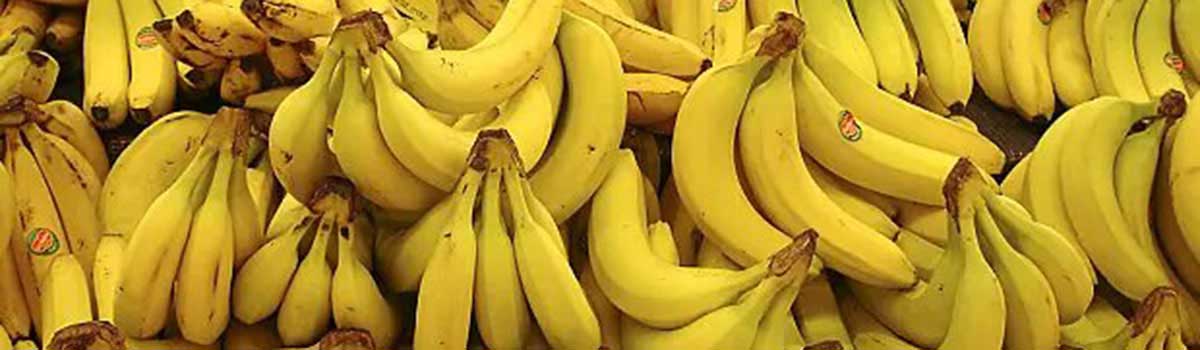 Ethylène présent dans les bananes